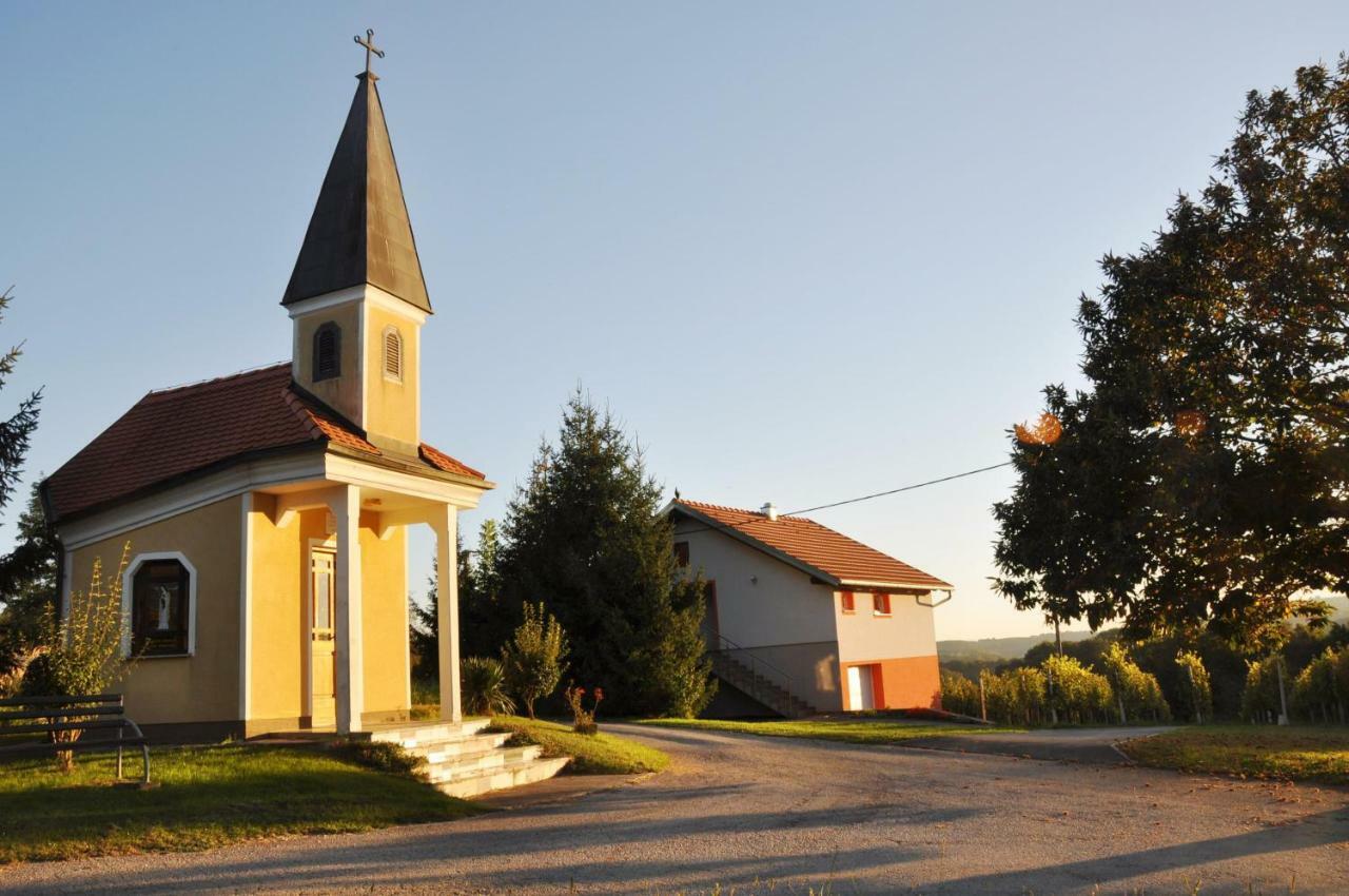 Villa Apartman"Katja" Sveti Martin Na Muri Exterior foto