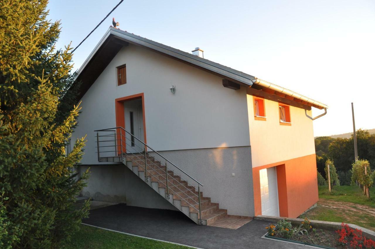 Villa Apartman"Katja" Sveti Martin Na Muri Exterior foto